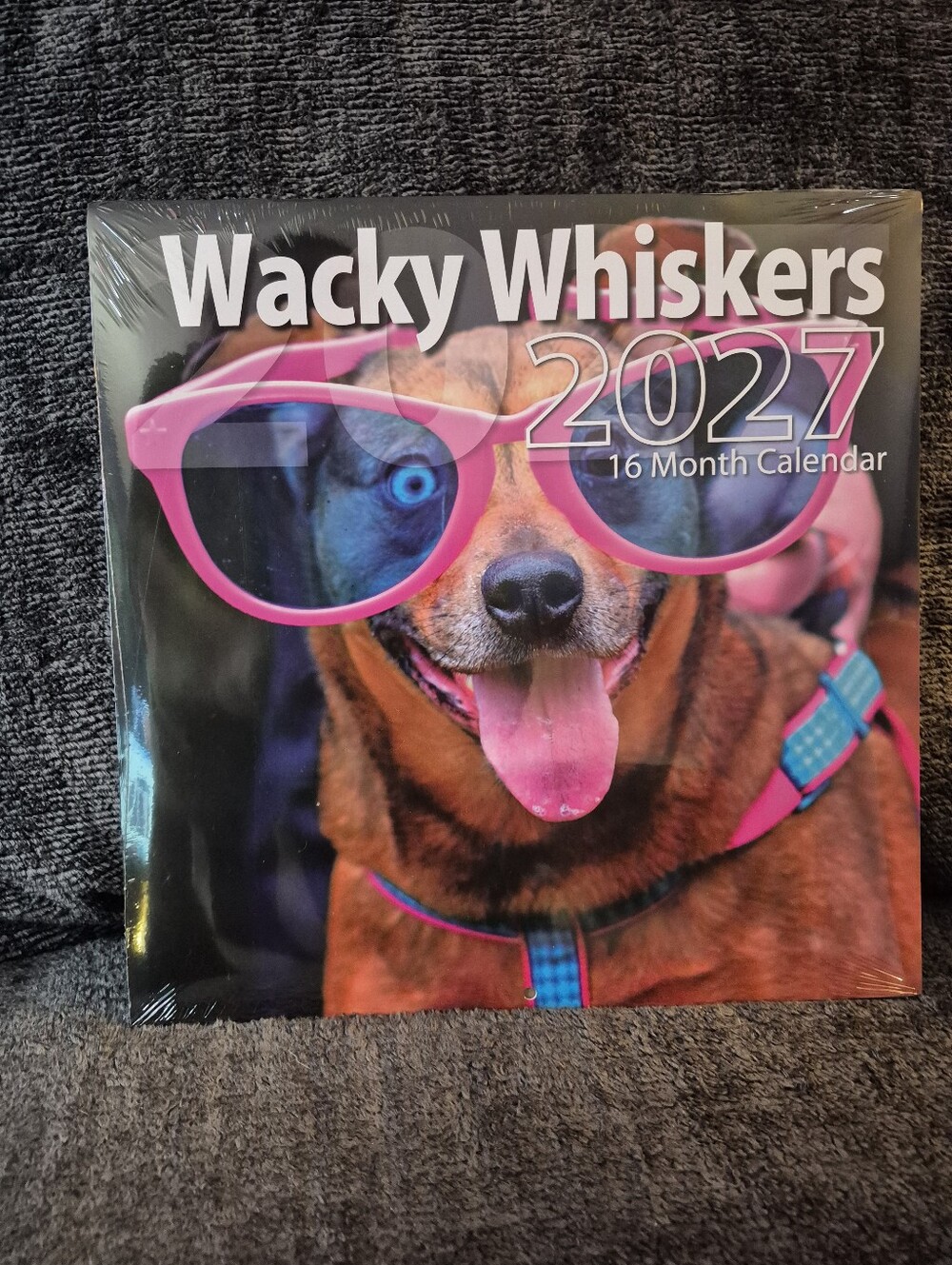 2027 wacky whiskers Calendar